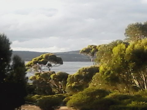 Mallee Bark Retreat - Dalby Accommodation 11