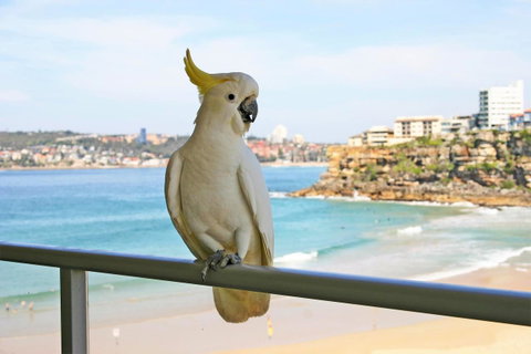 Beachfront Bliss - Dalby Accommodation 23