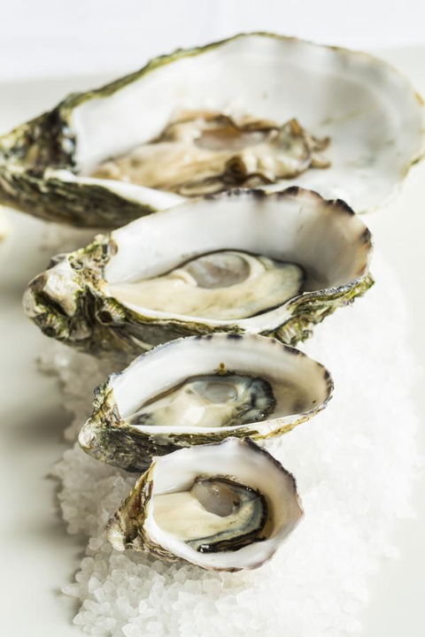 Port Lincoln Hotel - Dalby Accommodation 29