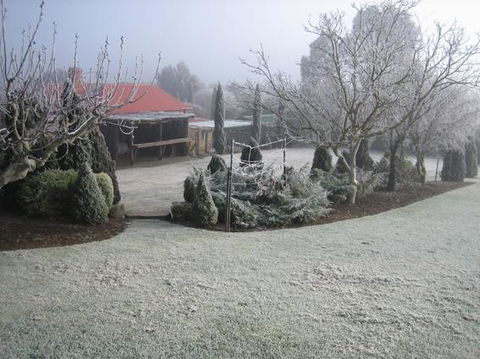 Vineyard Cottage BnB - Dalby Accommodation 15