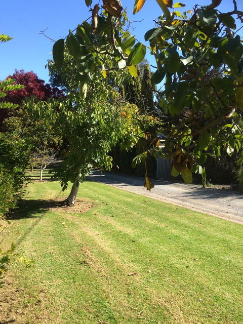 Vineyard Cottage BnB - Dalby Accommodation 17