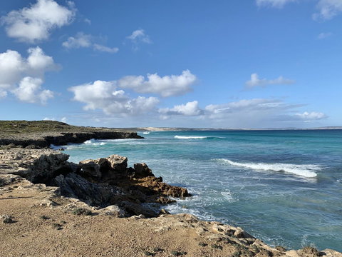 Hilton Beachfront Motel - Dalby Accommodation 6