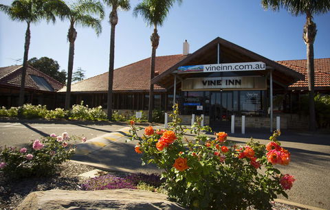Vine Inn Barossa - Dalby Accommodation 27