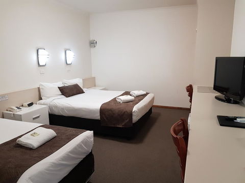 Vine Inn Barossa - Dalby Accommodation 13