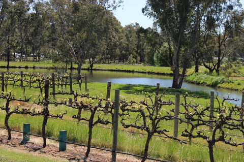 OXENBERRY FARM - Dalby Accommodation 19