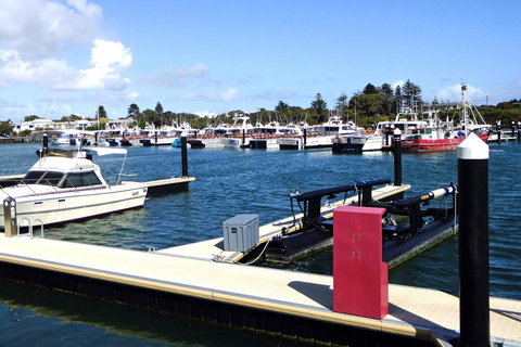 Robetown Motor Inn & Apartments - Dalby Accommodation 9