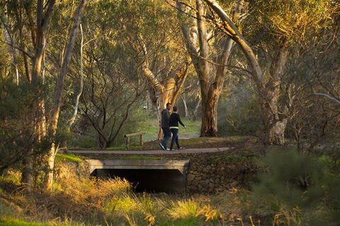 BIG 4 Barossa Tourist Park - Dalby Accommodation 26