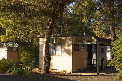 BIG 4 Barossa Tourist Park - Dalby Accommodation 33