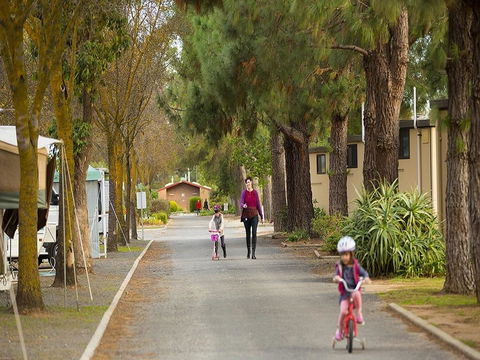 BIG 4 Barossa Tourist Park - Dalby Accommodation 36
