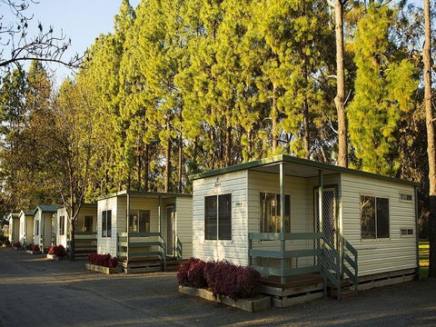 BIG 4 Barossa Tourist Park - Dalby Accommodation 44