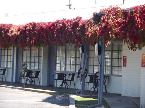 Guichen Bay Motel - Dalby Accommodation 23