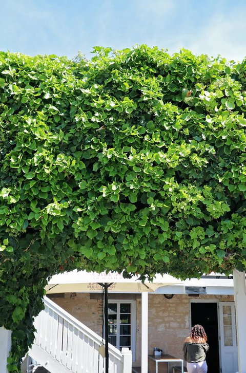 Caledonian Inn - Dalby Accommodation 21