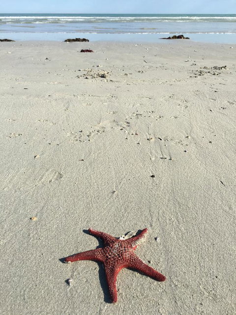 Caledonian Inn - Dalby Accommodation 14