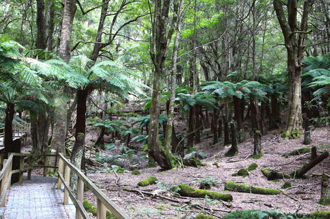 Wallace Lodge - PID-STRA-16871 - Dalby Accommodation 11