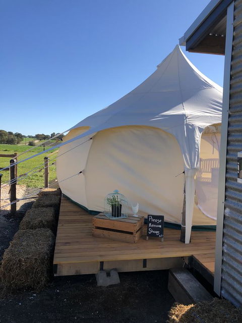 Bukirk Glamping & Fancy Coops - Dalby Accommodation 11