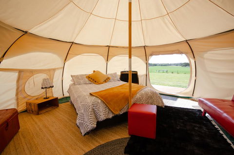 Bukirk Glamping & Fancy Coops - Dalby Accommodation 8