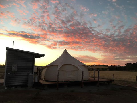 Bukirk Glamping & Fancy Coops - Dalby Accommodation 24