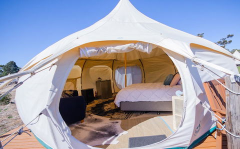 Bukirk Glamping & Fancy Coops - Dalby Accommodation 7