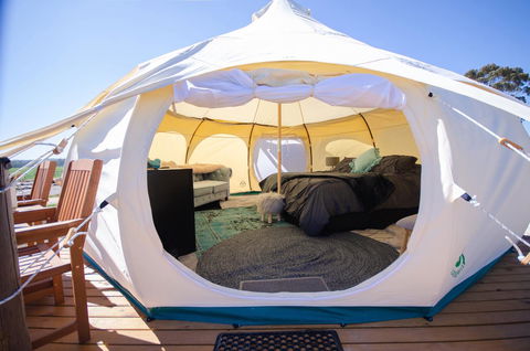Bukirk Glamping & Fancy Coops - Dalby Accommodation 14
