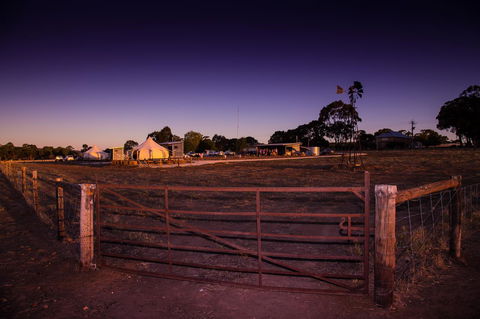Bukirk Glamping & Fancy Coops - Dalby Accommodation 33