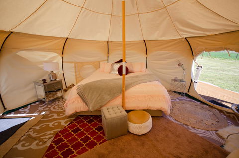 Bukirk Glamping & Fancy Coops - Dalby Accommodation 4