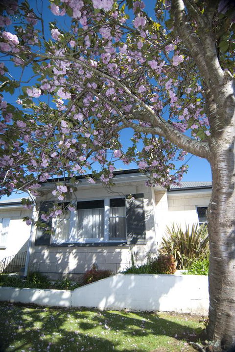 The Commodore - Dalby Accommodation 14