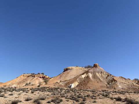 Opal Inn Hotel, Motel, Caravan Park - Dalby Accommodation 14