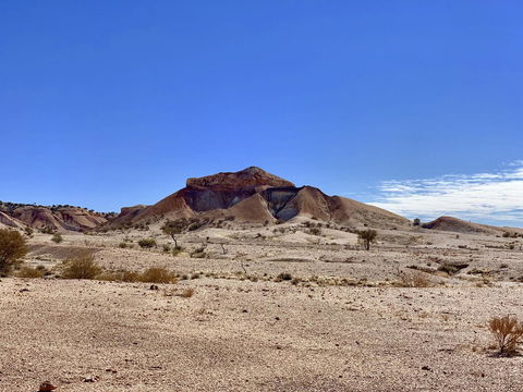 Opal Inn Hotel, Motel, Caravan Park - Dalby Accommodation 8