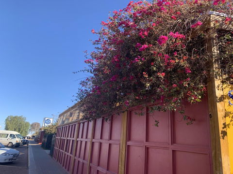 Opal Inn Hotel, Motel, Caravan Park - Dalby Accommodation 44