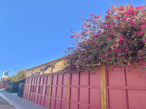 Opal Inn Hotel, Motel, Caravan Park - Dalby Accommodation 39