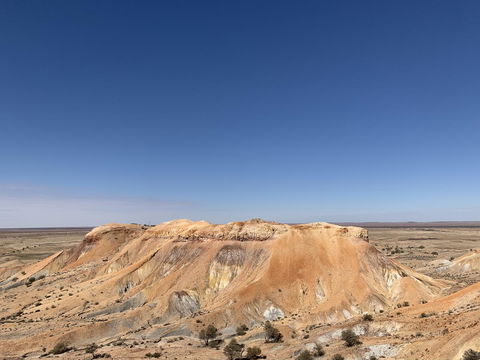 Opal Inn Hotel, Motel, Caravan Park - Dalby Accommodation 22