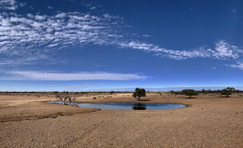 Opal Inn Hotel, Motel, Caravan Park - Dalby Accommodation 10