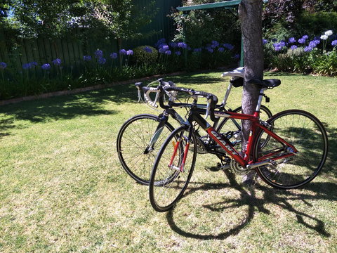 Fernweh Guesthouse - Dalby Accommodation 25