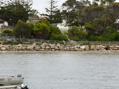 Island Motel Kingscote - Dalby Accommodation 4