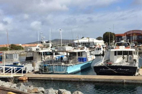 Port Lincoln Shark Apartment 2 - Dalby Accommodation 17