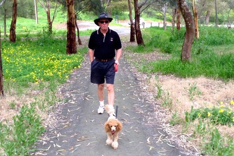 Clare Valley Cabins - Dalby Accommodation 34