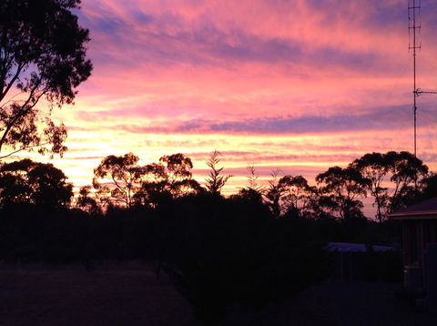 Clare Valley Cabins - Dalby Accommodation 8