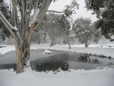 CHILL-OUT - Thredbo - Dalby Accommodation 38