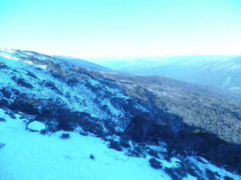 CHILL-OUT - Thredbo - Dalby Accommodation 39