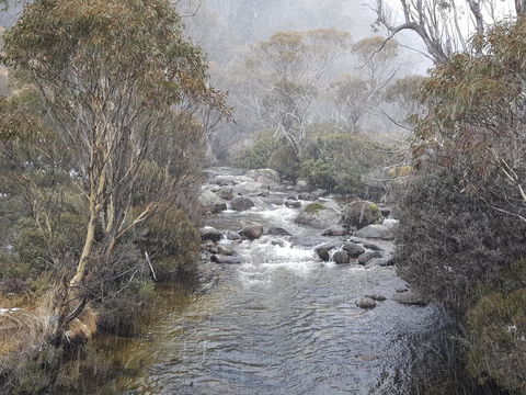 CHILL-OUT - Thredbo - Dalby Accommodation 23