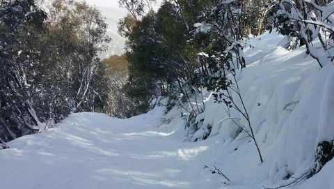 CHILL-OUT - Thredbo - Dalby Accommodation 17