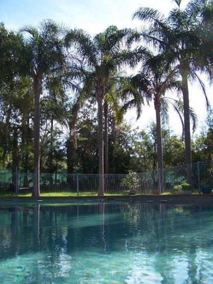 Abcot Inn - Dalby Accommodation 27
