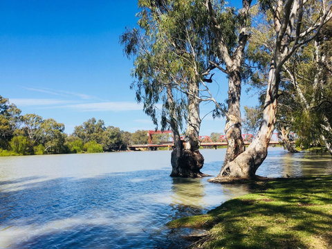 Echo Holiday Parks - Renmark - Dalby Accommodation 5