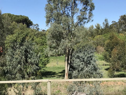 Adagio In Auburn - Dalby Accommodation 25