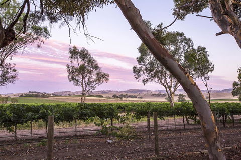 Jasmine\'s Barossa Valley Cottage - Dalby Accommodation 19