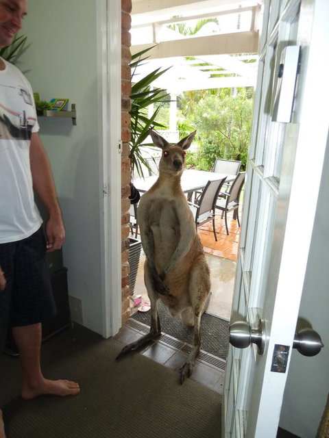 Aston Motel Yamba - Dalby Accommodation 10