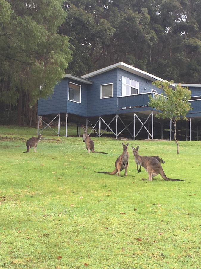 Denmark WA Dalby Accommodation
