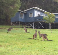 Blue House Denmark - Dalby Accommodation