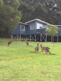 Book Denmark Accommodation Vacations Dalby Accommodation Dalby Accommodation