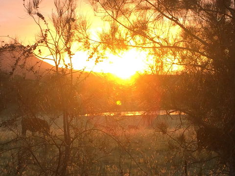 Grapevines Boutique Accommodation - Dalby Accommodation 27